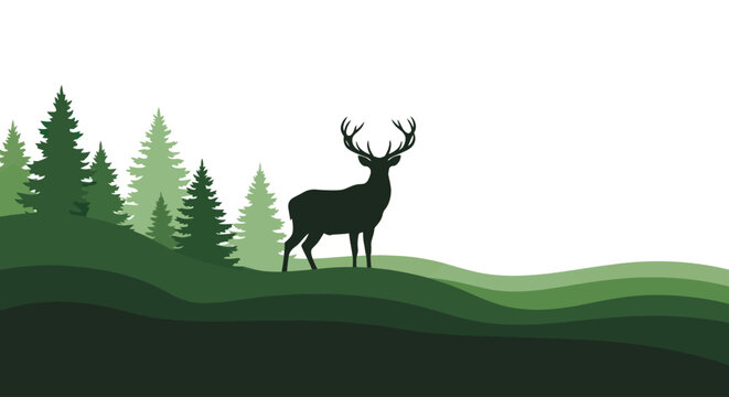 Deer with Antlers Standing on Hilltop.