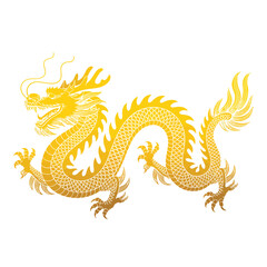 Fototapeta premium Golden chinese dragon illustration on a white background side view
