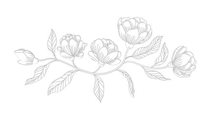 Delicate floral sketch featuring blossoming flowers and graceful leaves