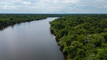 High-resolution aerial drone view of the tropical rainforest along the banks of the Río Nanay near Iquitos. Dense Amazon jungle vegetation forms a vibrant green canopy beside the dark waters © Gino Tuesta