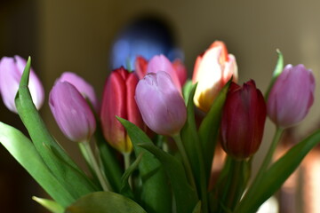 Obraz premium bukiet tulipanów w wazonie