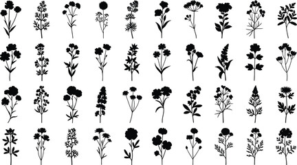 Black vector silhouettes set featuring sacred geometry mandalas, tropical palm leaves, hibiscus flowers, spring daisies, and minimalist botanical floral design elements. © Foredul