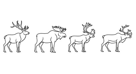 Four majestic moose with large antlers standing in a row.