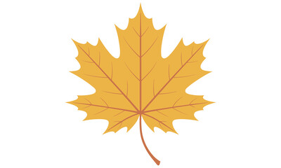 Fototapeta premium Vibrant yellow maple leaf with distinctive red veins and stem on a clean white background symbolizing autumn season with its characteristic foliage.