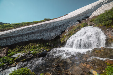 Big waterfall flows from mossy rock under snow cornice in sunny day. Green alpine scenery with pure mountain creek among wild lush flora in bright sun. Large river source under snowfield in sunlight. © Daniil