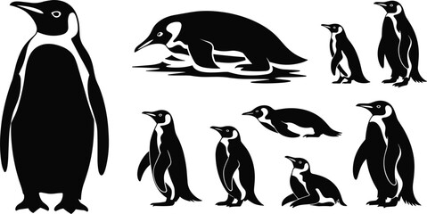 Set of black penguin silhouettes featuring various standing walking and swimming poses isolated on white background for antarctic wildlife design. © NR