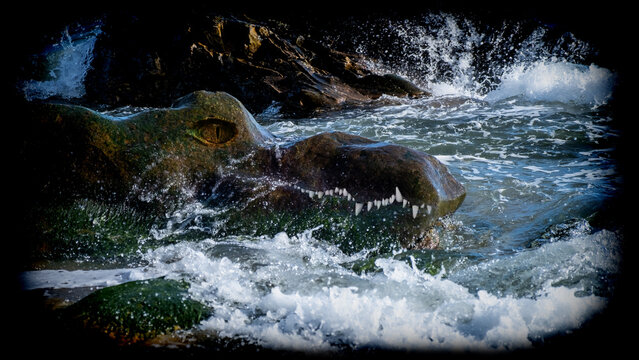 Crocodile Rock