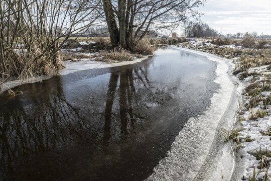 Stream with alders (Alnus glutinosa), Fischerhuder W&uuml;mmeniederung, Lower Saxony, Germany