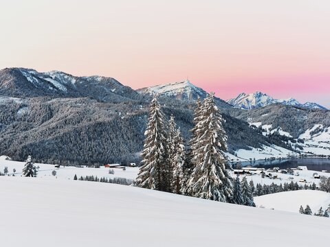 Snow-covered forest with view of Lake Aegeri behind Rigi and Pilatus, Gottschalkenberg, Canton Zug, Switzerland