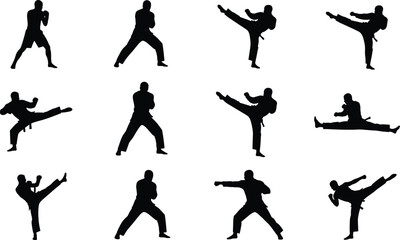 Dynamic martial arts silhouettes showcasing diverse karate and taekwondo poses, powerful kicks, punches, and stances, perfect for fitness, training, combat sports, and self-defense illustration  © MDRAZIURRAHMAN