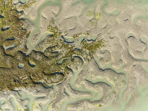 Network of channels and streams at low tide, in the marshland of the Bah&iacute;a de C&aacute;diz, aerial view, drone shot, C&aacute;diz province, Andalusia, Spain