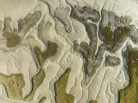 Network of dry channels and streams at low tide, in the marshland of the Bah&iacute;a de C&aacute;diz, aerial view, drone shot, C&aacute;diz province, Andalusia, Spain