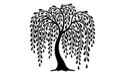 Fototapeta premium Stylized Black Weeping Willow Tree Silhouette on White