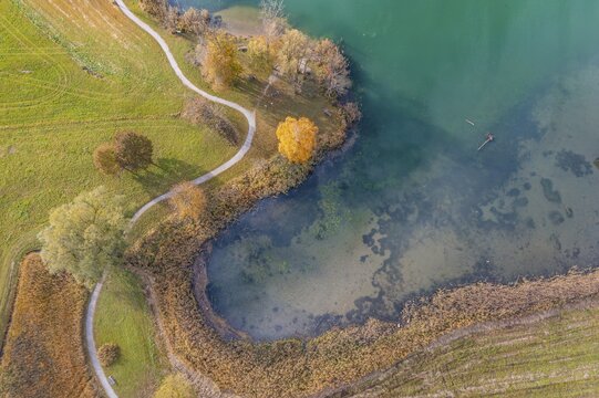 Aerial view, shore at Lake Kochel in autumn, Lake Kochel, Bavaria, Germany