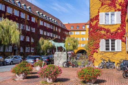 Yellow apartment buildings, Borstei, heritage-protected housing estate, Moosach district, Munich, Bavaria, Germany