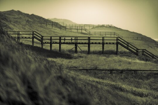 Footbridge in dune landscape, Rantum, Sylt Island, Germany