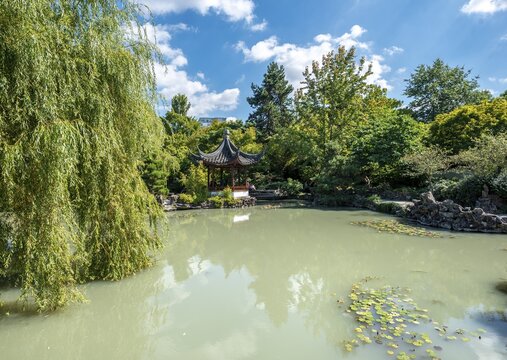 Garden with pond, Traditional Chinese Pagoda in the Dr. Sun Yat-Sen Classical Chinese Garden, Vancouver, British Columbia, Canada