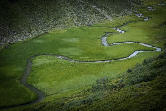 Meandering mountain stream in meadow landscape, Sellrain, Innsbruck, Tyrol, Austria