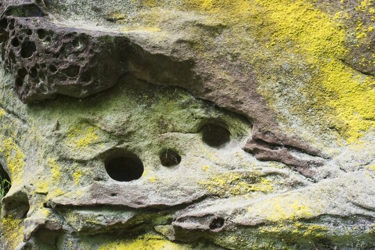 Sulphur lichen (Psilolechia lucida) on rock, Elbe Sandstone Mountains, Saxony, Germany