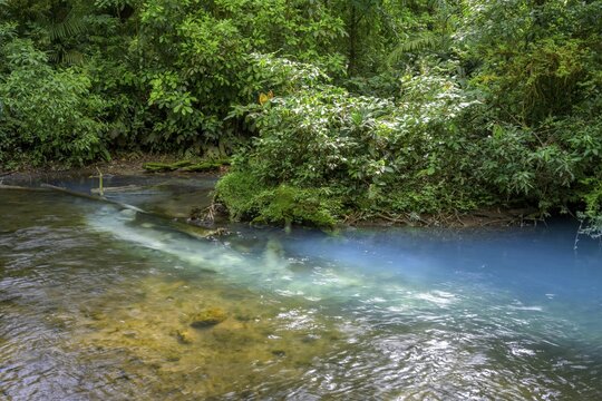 Spring with sulphur and calcium carbonate that causes the blue turquoise water of the Rio Celeste, Tenorio National Park, Upala, Alajuela Province, Costa Rica