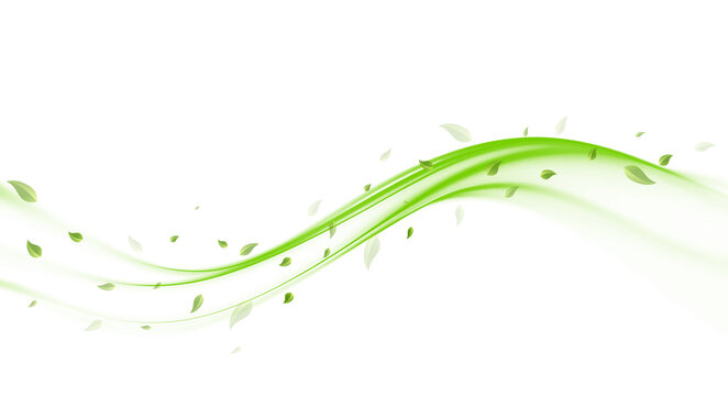 
Green leaves flying in wind swirl isolated on transparent background, fresh eco air concept PNG