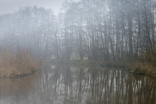 back water of the Ems, Emsland, Lower Saxony, Germany