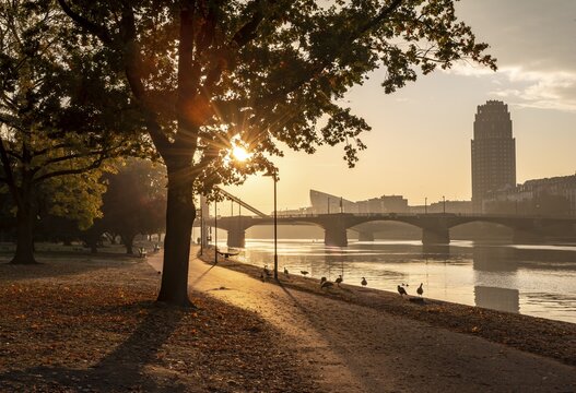 River promenade on the Main in the morning light, high-rise Lindner Hotel & Residence in the back, Frankfurt am Main, Hesse, Germany