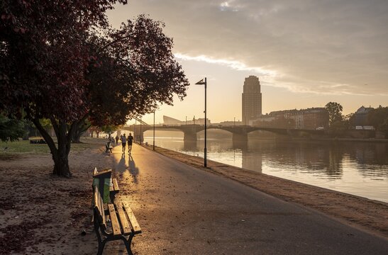 Joggers on the river promenade at the Main in the morning light, in the back high-rise Lindner Hotel & Residence, Frankfurt am Main, Hesse, Germany