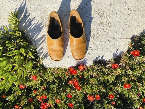 Yellow leather slippers, standing on a white wall framed by red flowering succulents, Paros, Cyclades Islands, Greece