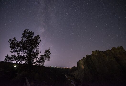 Night sky, starry sky with Milky Way, tree and canyon, Smith Rock State Park, Oregon, USA