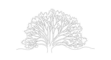 Fototapeta premium Minimalist Outline Tree Drawing: Single Line Art, Nature Vector