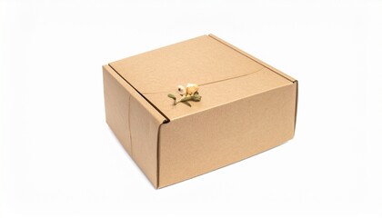 Minimalist Kraft Gift Box with Delicate Twig Embellishment on Clean White Background for Product Presentation.