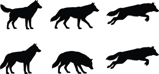 Black wolf silhouettes in various poses and movements including standing, walking, leaping, sniffing, wild animal illustration for design and art