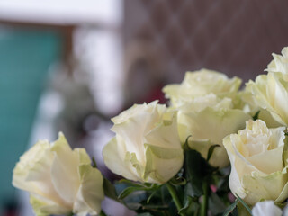 bouquet of white roses