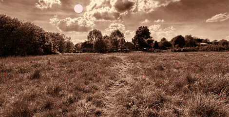 A wide sweep of grass drifts toward a quiet line of trees, the sky above thick with cloud. In sepia, the scene carries timeworn nostalgia, an echo of open land in Fairweather Green, Bradford, UK