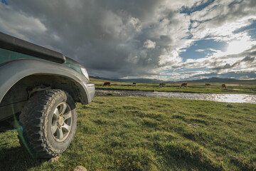 Close up of off-road 4x4 SUV wheel and snorkel on green meadow by mountain river with cows grazing in background under dramatic cloudy sky during overland adventure travel journey. © ANDREY