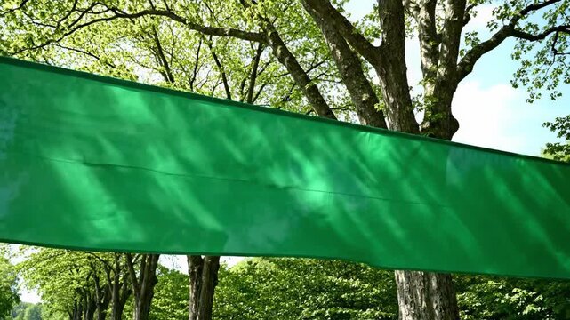 A vibrant green banner stretches across a tree-lined road, evoking a sense of progress and celebration. Ideal for marketing campaigns or representing 