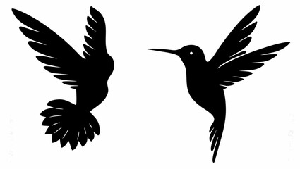 Obraz premium Two hummingbirds in mid flight with wings spread wide freely