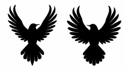 Obraz premium Two majestic black birds in mid flight with wings spread wide