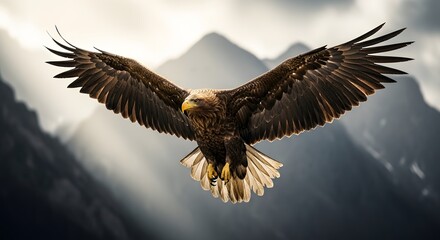 Majestic eagle soaring over mountains with dramatic lighting