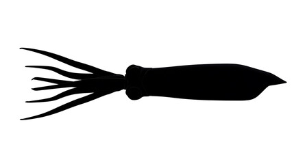 Obraz premium A black silhouette of a squid isolated on a plain background. Its tentacles are elegantly spread out