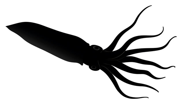 A black squid with its tentacles extended, against a minimalist backdrop. The creature's silhouette evokes a sense of mystery