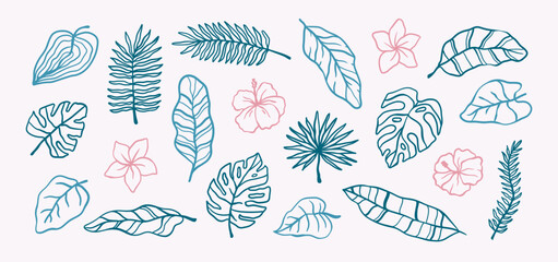 Tropical leaves doodle sketching line. Hand drawn summer exotic plants, palm, hibiscus flower and banana leaf. Naive whimsical minimal decorative floral elements vector illustration © ksania