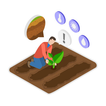 3D Isometric Flat Vector Illustration of Growing and Harvesting, Industry of Organic Farming. Item 2