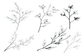 Obraz premium Distinct Trees in Black and White Line Art Style