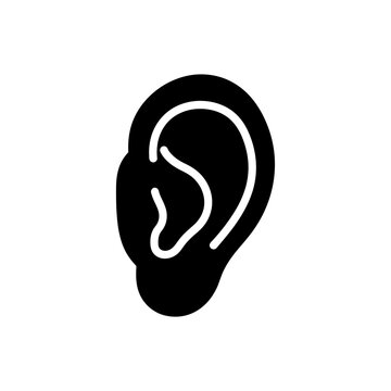 Human Ear Anatomy and Hearing Sense.