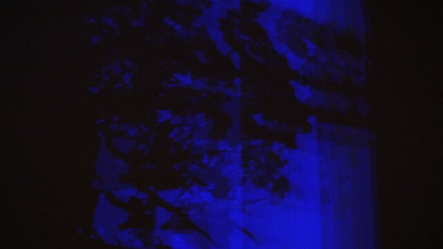 blue strobe lights on wall with shadows