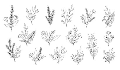 Abstract botanical line art bouquets with hand drawn herbs leaves and floral branches