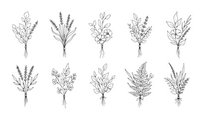 Botanical line art bouquets with hand drawn herbs flowers leaves and branches minimal vector set © Ashik