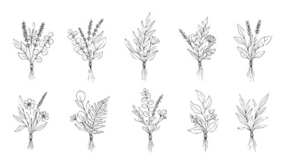 Botanical line art bouquets with hand drawn herbs flowers leaves and branches minimal vector set © Ashik